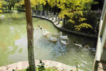 植物园-闵行校区20240928