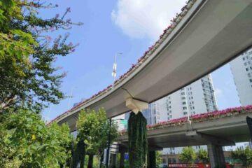 中山南一路园区-二酱